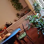 Domus Quiritum 4* Rzym