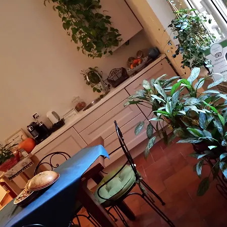 Domus Quiritum 4* Řím
