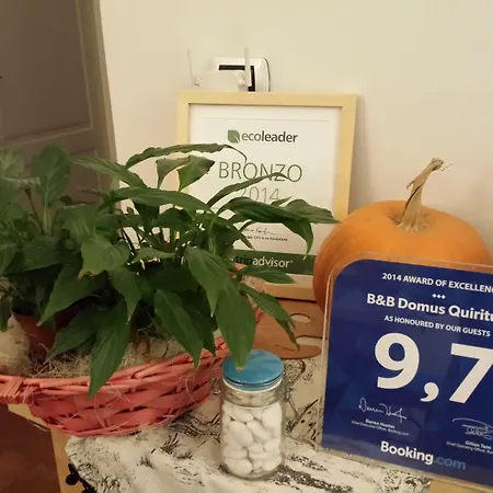 לינה וארוחת בוקר Domus Quiritum