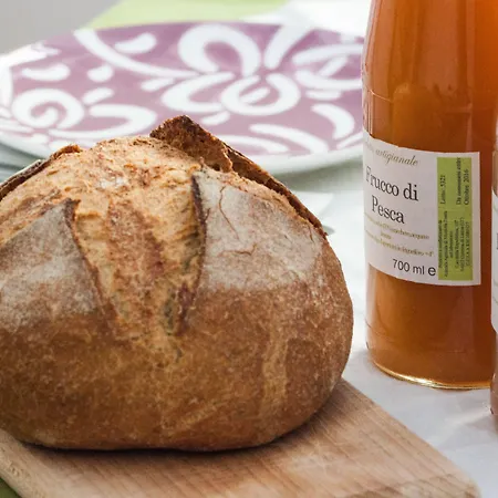 Domus Quiritum 4* רומא